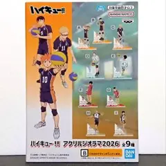 匿名配送 【 影山飛雄 】 ハイキュー!! アクリルジオラマ 2026　烏野高校