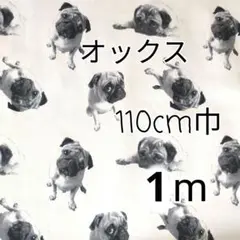 Item thumbnail for item 93fd56e3-7849-4876-be15-75a6d9c782fc