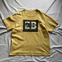 00s エディーバウアー Tシャツ カットソー y2k 平成 人気カラー XL