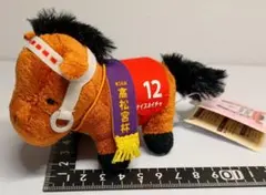2026年最新】ナイスネイチャ 馬券の人気アイテム - メルカリ