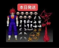海外限定s.h.figuarts ドラゴンボール スーパーサイヤ人ゴッドベジット