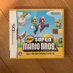 NEW スーパーマリオブラザーズ　ケースのみ