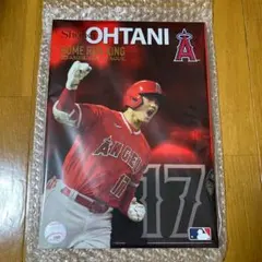 2023 AL™ ホームラン王獲得記念 大谷翔平プレミアムフレーム