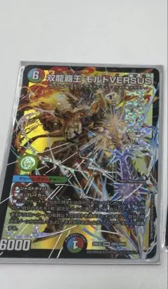 モルトversus 一枚