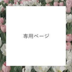 専用ページ