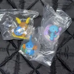 ポケモン ぎらぎらサンシャイン アローラライチュウ ウパー ミズゴロウ