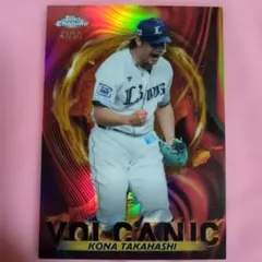 Item thumbnail for item edba0490-29e0-4e55-a3d7-d902df403993