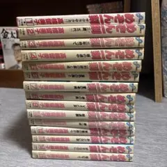 全巻初版】めぞん一刻 ワイド版 全10巻 全巻セット 高橋留美子 - メルカリ