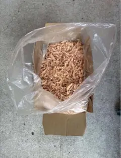 Item thumbnail for item 44342ade-c648-4da4-81e5-f5efb51d10c0