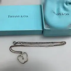 確実正規品Tiffanyネックレス