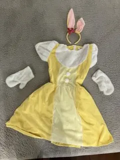 ミスバニーのキャラクター衣装　ハロウィンやディズニーに