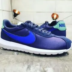 定価13,200円 24.5cm NIKE w roshe ld-1000