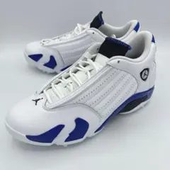 Item thumbnail for item 293962e6-3c47-439e-8cfb-5ec6f70f3679