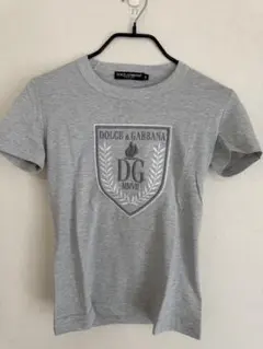【未使用に近い】ドルガバ DGロゴTシャツ 38 グレーのサムネイル