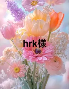 hrk様専用出品になります。