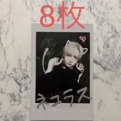 ニコラス &TEAM Back to Life インスタントフォト　8枚