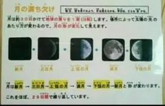 今だけ−700円　 月の形　理科 　暗記必須は幼児から！　社会学習　理科社会