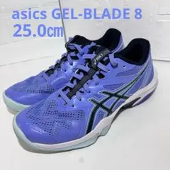 バドミントン アシックス シューズ GEL-BLADE8 25.0㎝のサムネイル