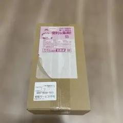 [新品未開封シュリンク付き] ポケモンセンターフクオカ スペシャルBOX