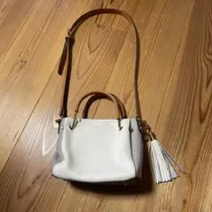 【ロデスコ】アーバンリサーチ　ミニ2wayバッグ