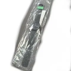 ポケモンレジェンズZA エディオンオリジナル購入特典 リストウォッチ