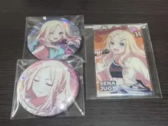 学マス 缶バッジ アクリルカード 十王星南