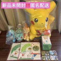 ポケモン 30周年 ぬいぐるみ×4、ステッカー、3Pループ付きタオルセット ポケモン 30周年 ぬいぐるみ×4、ステッカー、3Pループ付きタオルセット