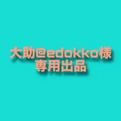 大助@edokko様専用出品 キャッチャー製サイドウィング 2セット