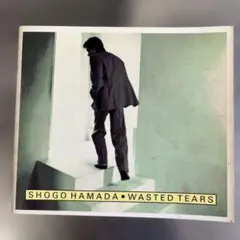 浜田省吾/ウェイステッド・ティアーズ - メルカリ