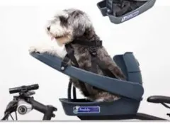 バディライダー　取り付け部品欠品　buddy rider 美品 バディライダー buddy rider