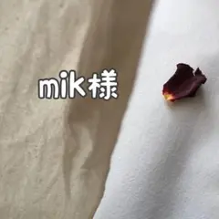 mik様 リクエスト 2点 まとめ商品