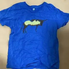 Item thumbnail for item 53df2909-54d1-4a0e-9b36-a7f653c5b8a2