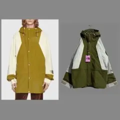 2021年GUCCI X THE NORTH FACE ナイロンブルゾン　グッチのサムネイル