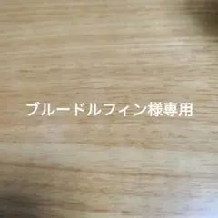 ブルードルフィン様専用