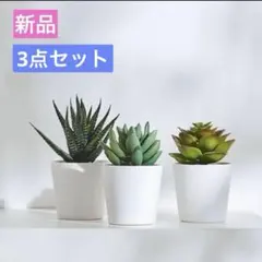 新品 人工観葉植物 多肉植物 3個セット IKEA インテリア グリーンのサムネイル