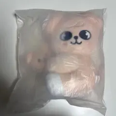 2025年最新】skzoo スンミンの人気アイテム - メルカリ