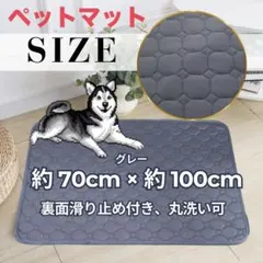 Item thumbnail for item bedd9d5c-ac72-4f96-8eec-deaf8e5e0b81