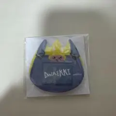 Stray Kids SKZOO お名前バッチ DWAEKKI