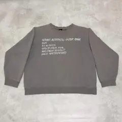 【希少】00's old STUSSY AUTHENTIC スウェット グレー