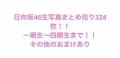 T*Y様 日向坂46 生写真　まとめ売り　324枚