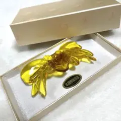鼈甲張 ベッコウ バレッタ