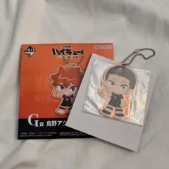 一番くじ 劇場版 ハイキュー!!ゴミ捨て場の決戦2 Ｇ賞 田中龍之介