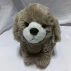 2025年最新】シーズー ぬいぐるみの人気アイテム - メルカリ