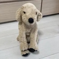 in the room 茶色 犬 ぬいぐるみ ゴールデンレトリバー くたくた
