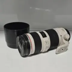 Item thumbnail for item 64b5a104-3ed8-4bcc-bc9b-177497990fcc