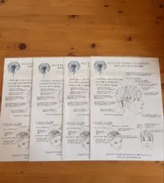 ACCESS CONSCIOUSNESS アクセスバーズヘッドチャート4枚