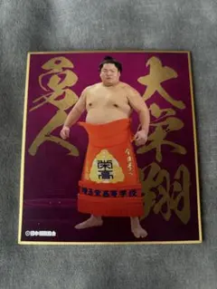 大相撲　熱海富士　力色紙　ホログラムステッカー　セット 大相撲 熱海富士 力色紙 ホログラムステッカー セット 大相撲