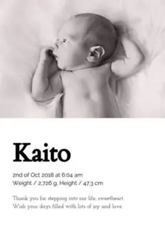 【3様専用】ベビーポスター　命名書