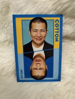 よしもとコレカ6th コットン きょん