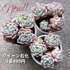 プリプリ☆様 リクエスト 4点 まとめ商品